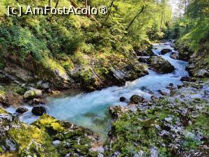 [P06] La pas prin Canionul Vintgar » foto by crismis
 - 
<span class="allrVoted glyphicon glyphicon-heart hidden" id="av1510685"></span>
<a class="m-l-10 hidden" id="sv1510685" onclick="voting_Foto_DelVot(,1510685,11040)" role="button">șterge vot <span class="glyphicon glyphicon-remove"></span></a>
<a id="v91510685" class=" c-red"  onclick="voting_Foto_SetVot(1510685)" role="button"><span class="glyphicon glyphicon-heart-empty"></span> <b>LIKE</b> = Votează poza</a> <img class="hidden"  id="f1510685W9" src="/imagini/loader.gif" border="0" /><span class="AjErrMes hidden" id="e1510685ErM"></span>