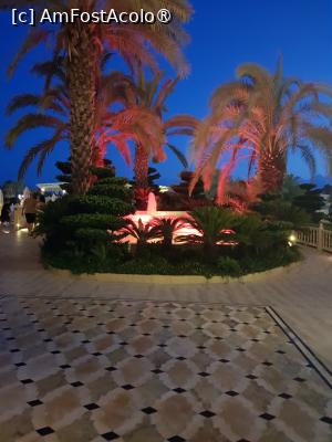 [P21] fantana luminata seara » foto by gioko
 - 
<span class="allrVoted glyphicon glyphicon-heart hidden" id="av1488557"></span>
<a class="m-l-10 hidden" id="sv1488557" onclick="voting_Foto_DelVot(,1488557,11127)" role="button">șterge vot <span class="glyphicon glyphicon-remove"></span></a>
<a id="v91488557" class=" c-red"  onclick="voting_Foto_SetVot(1488557)" role="button"><span class="glyphicon glyphicon-heart-empty"></span> <b>LIKE</b> = Votează poza</a> <img class="hidden"  id="f1488557W9" src="/imagini/loader.gif" border="0" /><span class="AjErrMes hidden" id="e1488557ErM"></span>