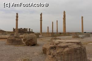 [P14] Persepolis, Palatul Apadana, Doar o parte din cele 72 de coloane pot fi admirate și astăzi. Am urcat în palat...  » foto by mprofeanu
 - 
<span class="allrVoted glyphicon glyphicon-heart hidden" id="av876033"></span>
<a class="m-l-10 hidden" id="sv876033" onclick="voting_Foto_DelVot(,876033,11195)" role="button">șterge vot <span class="glyphicon glyphicon-remove"></span></a>
<a id="v9876033" class=" c-red"  onclick="voting_Foto_SetVot(876033)" role="button"><span class="glyphicon glyphicon-heart-empty"></span> <b>LIKE</b> = Votează poza</a> <img class="hidden"  id="f876033W9" src="/imagini/loader.gif" border="0" /><span class="AjErrMes hidden" id="e876033ErM"></span>