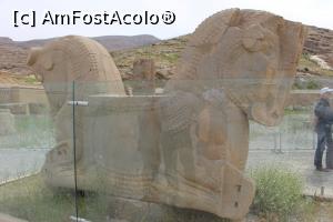 [P16] Persepolis, Palatul Apadana, Capete de taur imense erau în vârfurile coloanelor » foto by mprofeanu
 - 
<span class="allrVoted glyphicon glyphicon-heart hidden" id="av876035"></span>
<a class="m-l-10 hidden" id="sv876035" onclick="voting_Foto_DelVot(,876035,11195)" role="button">șterge vot <span class="glyphicon glyphicon-remove"></span></a>
<a id="v9876035" class=" c-red"  onclick="voting_Foto_SetVot(876035)" role="button"><span class="glyphicon glyphicon-heart-empty"></span> <b>LIKE</b> = Votează poza</a> <img class="hidden"  id="f876035W9" src="/imagini/loader.gif" border="0" /><span class="AjErrMes hidden" id="e876035ErM"></span>