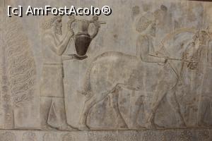 [P22] Persepolis, Palatul Apadana, Marea Poartă din Est, Basorelief cu Armeni cu vase cu vin, cu animale...  » foto by mprofeanu
 - 
<span class="allrVoted glyphicon glyphicon-heart hidden" id="av876041"></span>
<a class="m-l-10 hidden" id="sv876041" onclick="voting_Foto_DelVot(,876041,11195)" role="button">șterge vot <span class="glyphicon glyphicon-remove"></span></a>
<a id="v9876041" class=" c-red"  onclick="voting_Foto_SetVot(876041)" role="button"><span class="glyphicon glyphicon-heart-empty"></span> <b>LIKE</b> = Votează poza</a> <img class="hidden"  id="f876041W9" src="/imagini/loader.gif" border="0" /><span class="AjErrMes hidden" id="e876041ErM"></span>