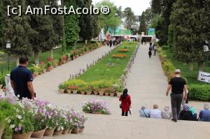 [P34] Shiraz, Mausoleul lui Hafez, Alee umbrită de uriași chiparoși și mulțime de flori colorate văzută de pe scările ce urcă la mormânt, în plan îndepărtat este intrarea » foto by mprofeanu
 - 
<span class="allrVoted glyphicon glyphicon-heart hidden" id="av899979"></span>
<a class="m-l-10 hidden" id="sv899979" onclick="voting_Foto_DelVot(,899979,11195)" role="button">șterge vot <span class="glyphicon glyphicon-remove"></span></a>
<a id="v9899979" class=" c-red"  onclick="voting_Foto_SetVot(899979)" role="button"><span class="glyphicon glyphicon-heart-empty"></span> <b>LIKE</b> = Votează poza</a> <img class="hidden"  id="f899979W9" src="/imagini/loader.gif" border="0" /><span class="AjErrMes hidden" id="e899979ErM"></span>