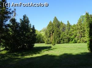 [P36] Ecopark Varna - în pădure :)  » foto by nicole33
 - 
<span class="allrVoted glyphicon glyphicon-heart hidden" id="av1071359"></span>
<a class="m-l-10 hidden" id="sv1071359" onclick="voting_Foto_DelVot(,1071359,11202)" role="button">șterge vot <span class="glyphicon glyphicon-remove"></span></a>
<a id="v91071359" class=" c-red"  onclick="voting_Foto_SetVot(1071359)" role="button"><span class="glyphicon glyphicon-heart-empty"></span> <b>LIKE</b> = Votează poza</a> <img class="hidden"  id="f1071359W9" src="/imagini/loader.gif" border="0" /><span class="AjErrMes hidden" id="e1071359ErM"></span>