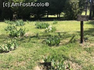 [P54] Ecopark Varna - zona cu stânejeni » foto by nicole33
 - 
<span class="allrVoted glyphicon glyphicon-heart hidden" id="av1071377"></span>
<a class="m-l-10 hidden" id="sv1071377" onclick="voting_Foto_DelVot(,1071377,11202)" role="button">șterge vot <span class="glyphicon glyphicon-remove"></span></a>
<a id="v91071377" class=" c-red"  onclick="voting_Foto_SetVot(1071377)" role="button"><span class="glyphicon glyphicon-heart-empty"></span> <b>LIKE</b> = Votează poza</a> <img class="hidden"  id="f1071377W9" src="/imagini/loader.gif" border="0" /><span class="AjErrMes hidden" id="e1071377ErM"></span>