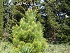 [P65] Ecopark Varna - în pădure » foto by nicole33
 - 
<span class="allrVoted glyphicon glyphicon-heart hidden" id="av1071388"></span>
<a class="m-l-10 hidden" id="sv1071388" onclick="voting_Foto_DelVot(,1071388,11202)" role="button">șterge vot <span class="glyphicon glyphicon-remove"></span></a>
<a id="v91071388" class=" c-red"  onclick="voting_Foto_SetVot(1071388)" role="button"><span class="glyphicon glyphicon-heart-empty"></span> <b>LIKE</b> = Votează poza</a> <img class="hidden"  id="f1071388W9" src="/imagini/loader.gif" border="0" /><span class="AjErrMes hidden" id="e1071388ErM"></span>