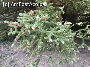 [P67] Ecopark Varna » foto by nicole33
 - 
<span class="allrVoted glyphicon glyphicon-heart hidden" id="av1071390"></span>
<a class="m-l-10 hidden" id="sv1071390" onclick="voting_Foto_DelVot(,1071390,11202)" role="button">șterge vot <span class="glyphicon glyphicon-remove"></span></a>
<a id="v91071390" class=" c-red"  onclick="voting_Foto_SetVot(1071390)" role="button"><span class="glyphicon glyphicon-heart-empty"></span> <b>LIKE</b> = Votează poza</a> <img class="hidden"  id="f1071390W9" src="/imagini/loader.gif" border="0" /><span class="AjErrMes hidden" id="e1071390ErM"></span>