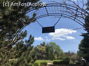 [P68] Ecopark Varna - Rose Garden » foto by nicole33
 - 
<span class="allrVoted glyphicon glyphicon-heart hidden" id="av1071391"></span>
<a class="m-l-10 hidden" id="sv1071391" onclick="voting_Foto_DelVot(,1071391,11202)" role="button">șterge vot <span class="glyphicon glyphicon-remove"></span></a>
<a id="v91071391" class=" c-red"  onclick="voting_Foto_SetVot(1071391)" role="button"><span class="glyphicon glyphicon-heart-empty"></span> <b>LIKE</b> = Votează poza</a> <img class="hidden"  id="f1071391W9" src="/imagini/loader.gif" border="0" /><span class="AjErrMes hidden" id="e1071391ErM"></span>