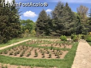 [P70] Ecopark Varna - Rose Garden » foto by nicole33
 - 
<span class="allrVoted glyphicon glyphicon-heart hidden" id="av1071393"></span>
<a class="m-l-10 hidden" id="sv1071393" onclick="voting_Foto_DelVot(,1071393,11202)" role="button">șterge vot <span class="glyphicon glyphicon-remove"></span></a>
<a id="v91071393" class=" c-red"  onclick="voting_Foto_SetVot(1071393)" role="button"><span class="glyphicon glyphicon-heart-empty"></span> <b>LIKE</b> = Votează poza</a> <img class="hidden"  id="f1071393W9" src="/imagini/loader.gif" border="0" /><span class="AjErrMes hidden" id="e1071393ErM"></span>