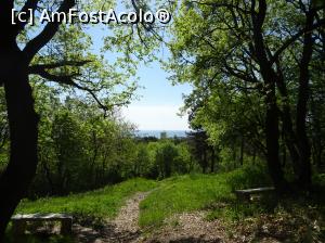 [P80] Ecopark Varna - coboram spre mare » foto by nicole33
 - 
<span class="allrVoted glyphicon glyphicon-heart hidden" id="av1071403"></span>
<a class="m-l-10 hidden" id="sv1071403" onclick="voting_Foto_DelVot(,1071403,11202)" role="button">șterge vot <span class="glyphicon glyphicon-remove"></span></a>
<a id="v91071403" class=" c-red"  onclick="voting_Foto_SetVot(1071403)" role="button"><span class="glyphicon glyphicon-heart-empty"></span> <b>LIKE</b> = Votează poza</a> <img class="hidden"  id="f1071403W9" src="/imagini/loader.gif" border="0" /><span class="AjErrMes hidden" id="e1071403ErM"></span>