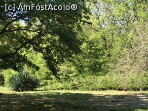 [P87] Ecopark Varna - verde » foto by nicole33
 - 
<span class="allrVoted glyphicon glyphicon-heart hidden" id="av1071410"></span>
<a class="m-l-10 hidden" id="sv1071410" onclick="voting_Foto_DelVot(,1071410,11202)" role="button">șterge vot <span class="glyphicon glyphicon-remove"></span></a>
<a id="v91071410" class=" c-red"  onclick="voting_Foto_SetVot(1071410)" role="button"><span class="glyphicon glyphicon-heart-empty"></span> <b>LIKE</b> = Votează poza</a> <img class="hidden"  id="f1071410W9" src="/imagini/loader.gif" border="0" /><span class="AjErrMes hidden" id="e1071410ErM"></span>