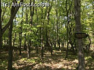 [P88] Ecopark Varna - zona de relaxare de " sub tei"  » foto by nicole33
 - 
<span class="allrVoted glyphicon glyphicon-heart hidden" id="av1071411"></span>
<a class="m-l-10 hidden" id="sv1071411" onclick="voting_Foto_DelVot(,1071411,11202)" role="button">șterge vot <span class="glyphicon glyphicon-remove"></span></a>
<a id="v91071411" class=" c-red"  onclick="voting_Foto_SetVot(1071411)" role="button"><span class="glyphicon glyphicon-heart-empty"></span> <b>LIKE</b> = Votează poza</a> <img class="hidden"  id="f1071411W9" src="/imagini/loader.gif" border="0" /><span class="AjErrMes hidden" id="e1071411ErM"></span>