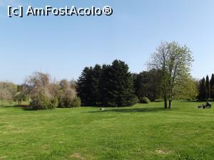 [P22] Poiană în Grădina Botanică din Sf. Constantin şi Elena » foto by irinad
 - 
<span class="allrVoted glyphicon glyphicon-heart hidden" id="av848420"></span>
<a class="m-l-10 hidden" id="sv848420" onclick="voting_Foto_DelVot(,848420,11202)" role="button">șterge vot <span class="glyphicon glyphicon-remove"></span></a>
<a id="v9848420" class=" c-red"  onclick="voting_Foto_SetVot(848420)" role="button"><span class="glyphicon glyphicon-heart-empty"></span> <b>LIKE</b> = Votează poza</a> <img class="hidden"  id="f848420W9" src="/imagini/loader.gif" border="0" /><span class="AjErrMes hidden" id="e848420ErM"></span>