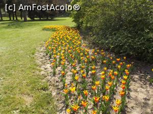 [P31] Combinaţie de galben cu roşu » foto by irinad
 - 
<span class="allrVoted glyphicon glyphicon-heart hidden" id="av848429"></span>
<a class="m-l-10 hidden" id="sv848429" onclick="voting_Foto_DelVot(,848429,11202)" role="button">șterge vot <span class="glyphicon glyphicon-remove"></span></a>
<a id="v9848429" class=" c-red"  onclick="voting_Foto_SetVot(848429)" role="button"><span class="glyphicon glyphicon-heart-empty"></span> <b>LIKE</b> = Votează poza</a> <img class="hidden"  id="f848429W9" src="/imagini/loader.gif" border="0" /><span class="AjErrMes hidden" id="e848429ErM"></span>