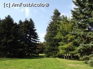 [P32] Verde crud în Grădina Botanică din Sf. Constantin şi Elena » foto by irinad
 - 
<span class="allrVoted glyphicon glyphicon-heart hidden" id="av848430"></span>
<a class="m-l-10 hidden" id="sv848430" onclick="voting_Foto_DelVot(,848430,11202)" role="button">șterge vot <span class="glyphicon glyphicon-remove"></span></a>
<a id="v9848430" class=" c-red"  onclick="voting_Foto_SetVot(848430)" role="button"><span class="glyphicon glyphicon-heart-empty"></span> <b>LIKE</b> = Votează poza</a> <img class="hidden"  id="f848430W9" src="/imagini/loader.gif" border="0" /><span class="AjErrMes hidden" id="e848430ErM"></span>