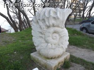 [P37] Pare a fi un melc » foto by irinad
 - 
<span class="allrVoted glyphicon glyphicon-heart hidden" id="av848436"></span>
<a class="m-l-10 hidden" id="sv848436" onclick="voting_Foto_DelVot(,848436,11202)" role="button">șterge vot <span class="glyphicon glyphicon-remove"></span></a>
<a id="v9848436" class=" c-red"  onclick="voting_Foto_SetVot(848436)" role="button"><span class="glyphicon glyphicon-heart-empty"></span> <b>LIKE</b> = Votează poza</a> <img class="hidden"  id="f848436W9" src="/imagini/loader.gif" border="0" /><span class="AjErrMes hidden" id="e848436ErM"></span>