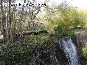 [P49] Cascada din Grădina Botanică » foto by irinad
 - 
<span class="allrVoted glyphicon glyphicon-heart hidden" id="av848455"></span>
<a class="m-l-10 hidden" id="sv848455" onclick="voting_Foto_DelVot(,848455,11202)" role="button">șterge vot <span class="glyphicon glyphicon-remove"></span></a>
<a id="v9848455" class=" c-red"  onclick="voting_Foto_SetVot(848455)" role="button"><span class="glyphicon glyphicon-heart-empty"></span> <b>LIKE</b> = Votează poza</a> <img class="hidden"  id="f848455W9" src="/imagini/loader.gif" border="0" /><span class="AjErrMes hidden" id="e848455ErM"></span>