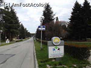 [P50] Una dintre străzile principale din Sf. Constantin şi Elena » foto by irinad
 - 
<span class="allrVoted glyphicon glyphicon-heart hidden" id="av848456"></span>
<a class="m-l-10 hidden" id="sv848456" onclick="voting_Foto_DelVot(,848456,11202)" role="button">șterge vot <span class="glyphicon glyphicon-remove"></span></a>
<a id="v9848456" class=" c-red"  onclick="voting_Foto_SetVot(848456)" role="button"><span class="glyphicon glyphicon-heart-empty"></span> <b>LIKE</b> = Votează poza</a> <img class="hidden"  id="f848456W9" src="/imagini/loader.gif" border="0" /><span class="AjErrMes hidden" id="e848456ErM"></span>