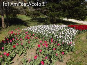 [P53] Mozaic de nuanţe » foto by irinad
 - 
<span class="allrVoted glyphicon glyphicon-heart hidden" id="av848460"></span>
<a class="m-l-10 hidden" id="sv848460" onclick="voting_Foto_DelVot(,848460,11202)" role="button">șterge vot <span class="glyphicon glyphicon-remove"></span></a>
<a id="v9848460" class=" c-red"  onclick="voting_Foto_SetVot(848460)" role="button"><span class="glyphicon glyphicon-heart-empty"></span> <b>LIKE</b> = Votează poza</a> <img class="hidden"  id="f848460W9" src="/imagini/loader.gif" border="0" /><span class="AjErrMes hidden" id="e848460ErM"></span>