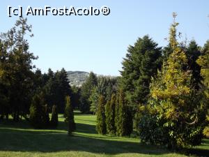 [P54] În Grădina Botanică din Sf. Constantin şi Elena » foto by irinad
 - 
<span class="allrVoted glyphicon glyphicon-heart hidden" id="av848461"></span>
<a class="m-l-10 hidden" id="sv848461" onclick="voting_Foto_DelVot(,848461,11202)" role="button">șterge vot <span class="glyphicon glyphicon-remove"></span></a>
<a id="v9848461" class=" c-red"  onclick="voting_Foto_SetVot(848461)" role="button"><span class="glyphicon glyphicon-heart-empty"></span> <b>LIKE</b> = Votează poza</a> <img class="hidden"  id="f848461W9" src="/imagini/loader.gif" border="0" /><span class="AjErrMes hidden" id="e848461ErM"></span>