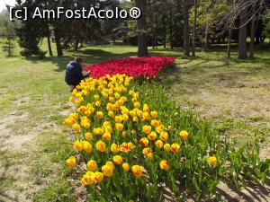 [P59] Cum să nu te opreşti să faci o poză?!  » foto by irinad
 - 
<span class="allrVoted glyphicon glyphicon-heart hidden" id="av848466"></span>
<a class="m-l-10 hidden" id="sv848466" onclick="voting_Foto_DelVot(,848466,11202)" role="button">șterge vot <span class="glyphicon glyphicon-remove"></span></a>
<a id="v9848466" class=" c-red"  onclick="voting_Foto_SetVot(848466)" role="button"><span class="glyphicon glyphicon-heart-empty"></span> <b>LIKE</b> = Votează poza</a> <img class="hidden"  id="f848466W9" src="/imagini/loader.gif" border="0" /><span class="AjErrMes hidden" id="e848466ErM"></span>