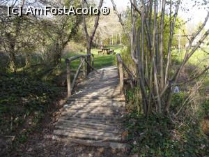 [P62] Podeţul din Grădina Botanică » foto by irinad
 - 
<span class="allrVoted glyphicon glyphicon-heart hidden" id="av848469"></span>
<a class="m-l-10 hidden" id="sv848469" onclick="voting_Foto_DelVot(,848469,11202)" role="button">șterge vot <span class="glyphicon glyphicon-remove"></span></a>
<a id="v9848469" class=" c-red"  onclick="voting_Foto_SetVot(848469)" role="button"><span class="glyphicon glyphicon-heart-empty"></span> <b>LIKE</b> = Votează poza</a> <img class="hidden"  id="f848469W9" src="/imagini/loader.gif" border="0" /><span class="AjErrMes hidden" id="e848469ErM"></span>