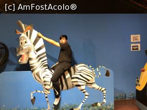 [P23] iluzia cu un personaj faimos dintr-o franșiză DreamWorks: Marty, din „Madagascar” » foto by Dan&Ema
 - 
<span class="allrVoted glyphicon glyphicon-heart hidden" id="av1144566"></span>
<a class="m-l-10 hidden" id="sv1144566" onclick="voting_Foto_DelVot(,1144566,11217)" role="button">șterge vot <span class="glyphicon glyphicon-remove"></span></a>
<a id="v91144566" class=" c-red"  onclick="voting_Foto_SetVot(1144566)" role="button"><span class="glyphicon glyphicon-heart-empty"></span> <b>LIKE</b> = Votează poza</a> <img class="hidden"  id="f1144566W9" src="/imagini/loader.gif" border="0" /><span class="AjErrMes hidden" id="e1144566ErM"></span>