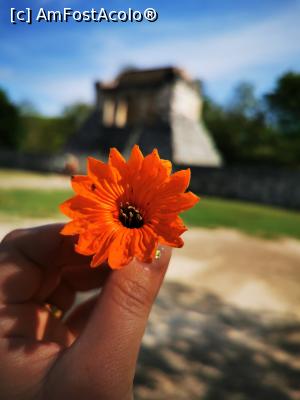 [P26] Chichen Itza » foto by cata2106
 - 
<span class="allrVoted glyphicon glyphicon-heart hidden" id="av1227327"></span>
<a class="m-l-10 hidden" id="sv1227327" onclick="voting_Foto_DelVot(,1227327,11225)" role="button">șterge vot <span class="glyphicon glyphicon-remove"></span></a>
<a id="v91227327" class=" c-red"  onclick="voting_Foto_SetVot(1227327)" role="button"><span class="glyphicon glyphicon-heart-empty"></span> <b>LIKE</b> = Votează poza</a> <img class="hidden"  id="f1227327W9" src="/imagini/loader.gif" border="0" /><span class="AjErrMes hidden" id="e1227327ErM"></span>