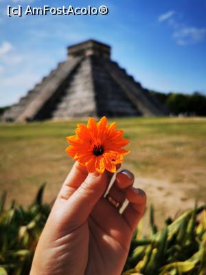 [P31] Chichen Itza » foto by cata2106
 - 
<span class="allrVoted glyphicon glyphicon-heart hidden" id="av1227332"></span>
<a class="m-l-10 hidden" id="sv1227332" onclick="voting_Foto_DelVot(,1227332,11225)" role="button">șterge vot <span class="glyphicon glyphicon-remove"></span></a>
<a id="v91227332" class=" c-red"  onclick="voting_Foto_SetVot(1227332)" role="button"><span class="glyphicon glyphicon-heart-empty"></span> <b>LIKE</b> = Votează poza</a> <img class="hidden"  id="f1227332W9" src="/imagini/loader.gif" border="0" /><span class="AjErrMes hidden" id="e1227332ErM"></span>