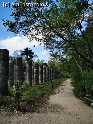 [P34] Chichen Itza » foto by cata2106
 - 
<span class="allrVoted glyphicon glyphicon-heart hidden" id="av1227335"></span>
<a class="m-l-10 hidden" id="sv1227335" onclick="voting_Foto_DelVot(,1227335,11225)" role="button">șterge vot <span class="glyphicon glyphicon-remove"></span></a>
<a id="v91227335" class=" c-red"  onclick="voting_Foto_SetVot(1227335)" role="button"><span class="glyphicon glyphicon-heart-empty"></span> <b>LIKE</b> = Votează poza</a> <img class="hidden"  id="f1227335W9" src="/imagini/loader.gif" border="0" /><span class="AjErrMes hidden" id="e1227335ErM"></span>