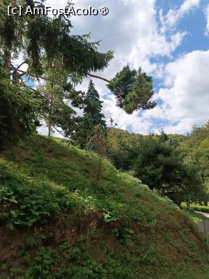 [P12] Imagine din curtea mânăstirii » foto by laurand
 - 
<span class="allrVoted glyphicon glyphicon-heart hidden" id="av1507701"></span>
<a class="m-l-10 hidden" id="sv1507701" onclick="voting_Foto_DelVot(,1507701,11234)" role="button">șterge vot <span class="glyphicon glyphicon-remove"></span></a>
<a id="v91507701" class=" c-red"  onclick="voting_Foto_SetVot(1507701)" role="button"><span class="glyphicon glyphicon-heart-empty"></span> <b>LIKE</b> = Votează poza</a> <img class="hidden"  id="f1507701W9" src="/imagini/loader.gif" border="0" /><span class="AjErrMes hidden" id="e1507701ErM"></span>