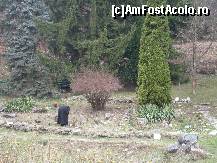 [P15] O maicuta ingrijind parculetul de langa manastire. » foto by presario
 - 
<span class="allrVoted glyphicon glyphicon-heart hidden" id="av60176"></span>
<a class="m-l-10 hidden" id="sv60176" onclick="voting_Foto_DelVot(,60176,11234)" role="button">șterge vot <span class="glyphicon glyphicon-remove"></span></a>
<a id="v960176" class=" c-red"  onclick="voting_Foto_SetVot(60176)" role="button"><span class="glyphicon glyphicon-heart-empty"></span> <b>LIKE</b> = Votează poza</a> <img class="hidden"  id="f60176W9" src="/imagini/loader.gif" border="0" /><span class="AjErrMes hidden" id="e60176ErM"></span>