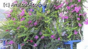 [P03] Flori de boungainvillea in gradina interioara a hotelului.  » foto by ovidiuyepi
 - 
<span class="allrVoted glyphicon glyphicon-heart hidden" id="av1135273"></span>
<a class="m-l-10 hidden" id="sv1135273" onclick="voting_Foto_DelVot(,1135273,11239)" role="button">șterge vot <span class="glyphicon glyphicon-remove"></span></a>
<a id="v91135273" class=" c-red"  onclick="voting_Foto_SetVot(1135273)" role="button"><span class="glyphicon glyphicon-heart-empty"></span> <b>LIKE</b> = Votează poza</a> <img class="hidden"  id="f1135273W9" src="/imagini/loader.gif" border="0" /><span class="AjErrMes hidden" id="e1135273ErM"></span>