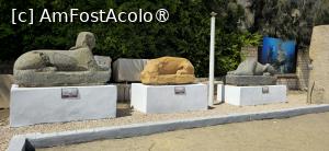 [P43] 43. Sunt aici câțiva sfincși, .... » foto by msnd
 - 
<span class="allrVoted glyphicon glyphicon-heart hidden" id="av1501142"></span>
<a class="m-l-10 hidden" id="sv1501142" onclick="voting_Foto_DelVot(,1501142,11270)" role="button">șterge vot <span class="glyphicon glyphicon-remove"></span></a>
<a id="v91501142" class=" c-red"  onclick="voting_Foto_SetVot(1501142)" role="button"><span class="glyphicon glyphicon-heart-empty"></span> <b>LIKE</b> = Votează poza</a> <img class="hidden"  id="f1501142W9" src="/imagini/loader.gif" border="0" /><span class="AjErrMes hidden" id="e1501142ErM"></span>