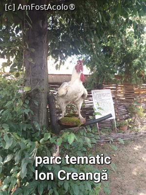 [P04] Parc Tematic Ion Creangă » foto by serbanescu
 - 
<span class="allrVoted glyphicon glyphicon-heart hidden" id="av1445812"></span>
<a class="m-l-10 hidden" id="sv1445812" onclick="voting_Foto_DelVot(,1445812,11298)" role="button">șterge vot <span class="glyphicon glyphicon-remove"></span></a>
<a id="v91445812" class=" c-red"  onclick="voting_Foto_SetVot(1445812)" role="button"><span class="glyphicon glyphicon-heart-empty"></span> <b>LIKE</b> = Votează poza</a> <img class="hidden"  id="f1445812W9" src="/imagini/loader.gif" border="0" /><span class="AjErrMes hidden" id="e1445812ErM"></span>