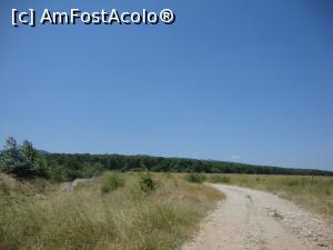 [P06] Trecem de islazul din vecinătatea satului Bolotești și ne apropiem de pădurea de pe Măgura Odobeștilor.  » foto by Floryn81
 - 
<span class="allrVoted glyphicon glyphicon-heart hidden" id="av762577"></span>
<a class="m-l-10 hidden" id="sv762577" onclick="voting_Foto_DelVot(,762577,11329)" role="button">șterge vot <span class="glyphicon glyphicon-remove"></span></a>
<a id="v9762577" class=" c-red"  onclick="voting_Foto_SetVot(762577)" role="button"><span class="glyphicon glyphicon-heart-empty"></span> <b>LIKE</b> = Votează poza</a> <img class="hidden"  id="f762577W9" src="/imagini/loader.gif" border="0" /><span class="AjErrMes hidden" id="e762577ErM"></span>