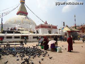 [P13] STUPA BOUDHANAT » foto by buterfly*
 - 
<span class="allrVoted glyphicon glyphicon-heart hidden" id="av502319"></span>
<a class="m-l-10 hidden" id="sv502319" onclick="voting_Foto_DelVot(,502319,11367)" role="button">șterge vot <span class="glyphicon glyphicon-remove"></span></a>
<a id="v9502319" class=" c-red"  onclick="voting_Foto_SetVot(502319)" role="button"><span class="glyphicon glyphicon-heart-empty"></span> <b>LIKE</b> = Votează poza</a> <img class="hidden"  id="f502319W9" src="/imagini/loader.gif" border="0" /><span class="AjErrMes hidden" id="e502319ErM"></span>