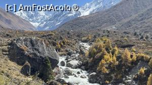 [P62] Langtang Trek » foto by Mika
 - 
<span class="allrVoted glyphicon glyphicon-heart hidden" id="av1504174"></span>
<a class="m-l-10 hidden" id="sv1504174" onclick="voting_Foto_DelVot(,1504174,11367)" role="button">șterge vot <span class="glyphicon glyphicon-remove"></span></a>
<a id="v91504174" class=" c-red"  onclick="voting_Foto_SetVot(1504174)" role="button"><span class="glyphicon glyphicon-heart-empty"></span> <b>LIKE</b> = Votează poza</a> <img class="hidden"  id="f1504174W9" src="/imagini/loader.gif" border="0" /><span class="AjErrMes hidden" id="e1504174ErM"></span>