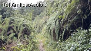 [P01] Pe drumul spre Kutumsang » foto by Mika
 - 
<span class="allrVoted glyphicon glyphicon-heart hidden" id="av1505217"></span>
<a class="m-l-10 hidden" id="sv1505217" onclick="voting_Foto_DelVot(,1505217,11367)" role="button">șterge vot <span class="glyphicon glyphicon-remove"></span></a>
<a id="v91505217" class=" c-red"  onclick="voting_Foto_SetVot(1505217)" role="button"><span class="glyphicon glyphicon-heart-empty"></span> <b>LIKE</b> = Votează poza</a> <img class="hidden"  id="f1505217W9" src="/imagini/loader.gif" border="0" /><span class="AjErrMes hidden" id="e1505217ErM"></span>