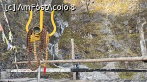 [P13] Tridentul de la Phedi » foto by Mika
 - 
<span class="allrVoted glyphicon glyphicon-heart hidden" id="av1505229"></span>
<a class="m-l-10 hidden" id="sv1505229" onclick="voting_Foto_DelVot(,1505229,11367)" role="button">șterge vot <span class="glyphicon glyphicon-remove"></span></a>
<a id="v91505229" class=" c-red"  onclick="voting_Foto_SetVot(1505229)" role="button"><span class="glyphicon glyphicon-heart-empty"></span> <b>LIKE</b> = Votează poza</a> <img class="hidden"  id="f1505229W9" src="/imagini/loader.gif" border="0" /><span class="AjErrMes hidden" id="e1505229ErM"></span>