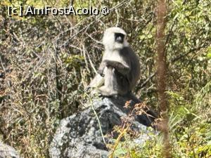 [P35]  -- <small>// FĂRĂ DESCRIERE</small> » foto by Mika
 - 
<span class="allrVoted glyphicon glyphicon-heart hidden" id="av1506019"></span>
<a class="m-l-10 hidden" id="sv1506019" onclick="voting_Foto_DelVot(,1506019,11367)" role="button">șterge vot <span class="glyphicon glyphicon-remove"></span></a>
<a id="v91506019" class=" c-red"  onclick="voting_Foto_SetVot(1506019)" role="button"><span class="glyphicon glyphicon-heart-empty"></span> <b>LIKE</b> = Votează poza</a> <img class="hidden"  id="f1506019W9" src="/imagini/loader.gif" border="0" /><span class="AjErrMes hidden" id="e1506019ErM"></span>