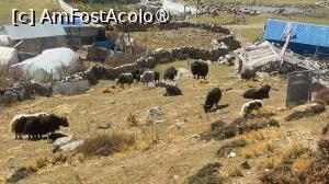 [P65]  -- <small>// FĂRĂ DESCRIERE</small> » foto by Mika
 - 
<span class="allrVoted glyphicon glyphicon-heart hidden" id="av1506049"></span>
<a class="m-l-10 hidden" id="sv1506049" onclick="voting_Foto_DelVot(,1506049,11367)" role="button">șterge vot <span class="glyphicon glyphicon-remove"></span></a>
<a id="v91506049" class=" c-red"  onclick="voting_Foto_SetVot(1506049)" role="button"><span class="glyphicon glyphicon-heart-empty"></span> <b>LIKE</b> = Votează poza</a> <img class="hidden"  id="f1506049W9" src="/imagini/loader.gif" border="0" /><span class="AjErrMes hidden" id="e1506049ErM"></span>