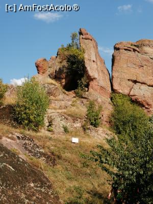 [P11]  -- <small>// FĂRĂ DESCRIERE</small> » foto by Cristian_h
 - 
<span class="allrVoted glyphicon glyphicon-heart hidden" id="av1518779"></span>
<a class="m-l-10 hidden" id="sv1518779" onclick="voting_Foto_DelVot(,1518779,11404)" role="button">șterge vot <span class="glyphicon glyphicon-remove"></span></a>
<a id="v91518779" class=" c-red"  onclick="voting_Foto_SetVot(1518779)" role="button"><span class="glyphicon glyphicon-heart-empty"></span> <b>LIKE</b> = Votează poza</a> <img class="hidden"  id="f1518779W9" src="/imagini/loader.gif" border="0" /><span class="AjErrMes hidden" id="e1518779ErM"></span>