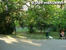 [P16] Bucuresti - Parcul Cismigiu - s-a dat liber la joaca pe iarba » foto by Diaura*
 - 
<span class="allrVoted glyphicon glyphicon-heart hidden" id="av316289"></span>
<a class="m-l-10 hidden" id="sv316289" onclick="voting_Foto_DelVot(,316289,11447)" role="button">șterge vot <span class="glyphicon glyphicon-remove"></span></a>
<a id="v9316289" class=" c-red"  onclick="voting_Foto_SetVot(316289)" role="button"><span class="glyphicon glyphicon-heart-empty"></span> <b>LIKE</b> = Votează poza</a> <img class="hidden"  id="f316289W9" src="/imagini/loader.gif" border="0" /><span class="AjErrMes hidden" id="e316289ErM"></span>