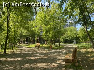 [P23] Parcul Sticlariei - natura in toata splendoarea ei » foto by mishu
 - 
<span class="allrVoted glyphicon glyphicon-heart hidden" id="av1362012"></span>
<a class="m-l-10 hidden" id="sv1362012" onclick="voting_Foto_DelVot(,1362012,11447)" role="button">șterge vot <span class="glyphicon glyphicon-remove"></span></a>
<a id="v91362012" class=" c-red"  onclick="voting_Foto_SetVot(1362012)" role="button"><span class="glyphicon glyphicon-heart-empty"></span> <b>LIKE</b> = Votează poza</a> <img class="hidden"  id="f1362012W9" src="/imagini/loader.gif" border="0" /><span class="AjErrMes hidden" id="e1362012ErM"></span>