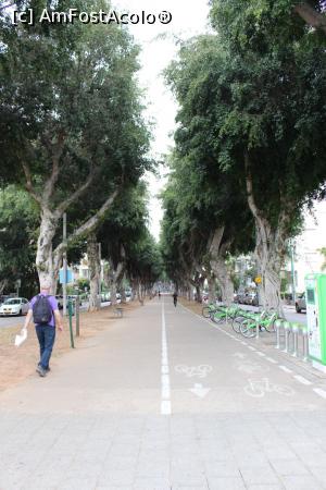 [P40] Tel Aviv, Bulevardului Chen cu bandă centrală cu alee pentru pietoni și pistă de biciclete » foto by mprofeanu
 - 
<span class="allrVoted glyphicon glyphicon-heart hidden" id="av962514"></span>
<a class="m-l-10 hidden" id="sv962514" onclick="voting_Foto_DelVot(,962514,11509)" role="button">șterge vot <span class="glyphicon glyphicon-remove"></span></a>
<a id="v9962514" class=" c-red"  onclick="voting_Foto_SetVot(962514)" role="button"><span class="glyphicon glyphicon-heart-empty"></span> <b>LIKE</b> = Votează poza</a> <img class="hidden"  id="f962514W9" src="/imagini/loader.gif" border="0" /><span class="AjErrMes hidden" id="e962514ErM"></span>