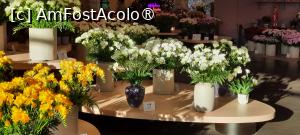 [P10] Grădinile Keukenhof, Pavilionul Oranje Nassau, superbe frezii » foto by mprofeanu
 - 
<span class="allrVoted glyphicon glyphicon-heart hidden" id="av1481570"></span>
<a class="m-l-10 hidden" id="sv1481570" onclick="voting_Foto_DelVot(,1481570,11516)" role="button">șterge vot <span class="glyphicon glyphicon-remove"></span></a>
<a id="v91481570" class=" c-red"  onclick="voting_Foto_SetVot(1481570)" role="button"><span class="glyphicon glyphicon-heart-empty"></span> <b>LIKE</b> = Votează poza</a> <img class="hidden"  id="f1481570W9" src="/imagini/loader.gif" border="0" /><span class="AjErrMes hidden" id="e1481570ErM"></span>