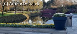 [P04] Grădinile Keukenhof, Am trecut de zona amenajată de la intrare » foto by mprofeanu
 - 
<span class="allrVoted glyphicon glyphicon-heart hidden" id="av1481564"></span>
<a class="m-l-10 hidden" id="sv1481564" onclick="voting_Foto_DelVot(,1481564,11516)" role="button">șterge vot <span class="glyphicon glyphicon-remove"></span></a>
<a id="v91481564" class=" c-red"  onclick="voting_Foto_SetVot(1481564)" role="button"><span class="glyphicon glyphicon-heart-empty"></span> <b>LIKE</b> = Votează poza</a> <img class="hidden"  id="f1481564W9" src="/imagini/loader.gif" border="0" /><span class="AjErrMes hidden" id="e1481564ErM"></span>