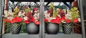 [P42] Grădinile Keukenhof, Pavilionul Beatrix, orhidee și anthurium » foto by mprofeanu
 - 
<span class="allrVoted glyphicon glyphicon-heart hidden" id="av1481602"></span>
<a class="m-l-10 hidden" id="sv1481602" onclick="voting_Foto_DelVot(,1481602,11516)" role="button">șterge vot <span class="glyphicon glyphicon-remove"></span></a>
<a id="v91481602" class=" c-red"  onclick="voting_Foto_SetVot(1481602)" role="button"><span class="glyphicon glyphicon-heart-empty"></span> <b>LIKE</b> = Votează poza</a> <img class="hidden"  id="f1481602W9" src="/imagini/loader.gif" border="0" /><span class="AjErrMes hidden" id="e1481602ErM"></span>