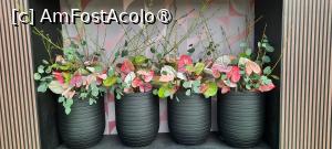 [P44] Grădinile Keukenhof, Pavilionul Beatrix, aici doar anthurium » foto by mprofeanu
 - 
<span class="allrVoted glyphicon glyphicon-heart hidden" id="av1481604"></span>
<a class="m-l-10 hidden" id="sv1481604" onclick="voting_Foto_DelVot(,1481604,11516)" role="button">șterge vot <span class="glyphicon glyphicon-remove"></span></a>
<a id="v91481604" class=" c-red"  onclick="voting_Foto_SetVot(1481604)" role="button"><span class="glyphicon glyphicon-heart-empty"></span> <b>LIKE</b> = Votează poza</a> <img class="hidden"  id="f1481604W9" src="/imagini/loader.gif" border="0" /><span class="AjErrMes hidden" id="e1481604ErM"></span>