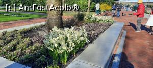 [P47] Grădinile Keukenhof, Pe alei » foto by mprofeanu
 - 
<span class="allrVoted glyphicon glyphicon-heart hidden" id="av1481607"></span>
<a class="m-l-10 hidden" id="sv1481607" onclick="voting_Foto_DelVot(,1481607,11516)" role="button">șterge vot <span class="glyphicon glyphicon-remove"></span></a>
<a id="v91481607" class=" c-red"  onclick="voting_Foto_SetVot(1481607)" role="button"><span class="glyphicon glyphicon-heart-empty"></span> <b>LIKE</b> = Votează poza</a> <img class="hidden"  id="f1481607W9" src="/imagini/loader.gif" border="0" /><span class="AjErrMes hidden" id="e1481607ErM"></span>